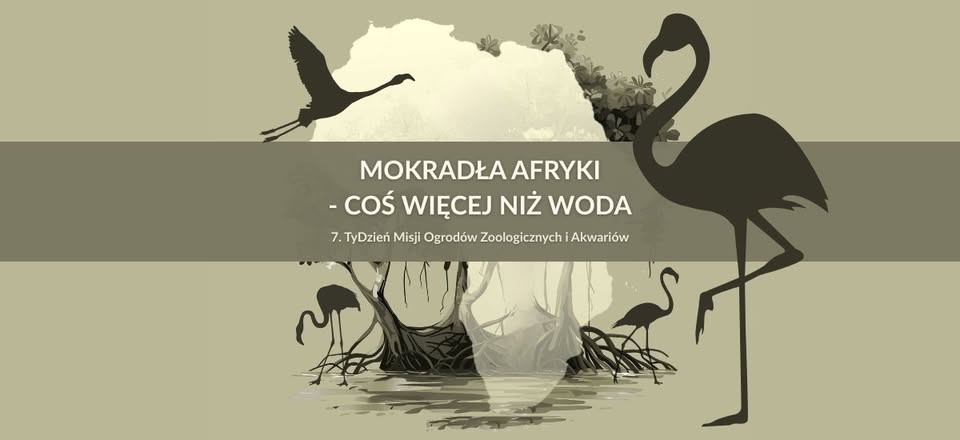  Tydzień Misji Ogrodów Zoologicznych i Akwariów w toruńskim zoo