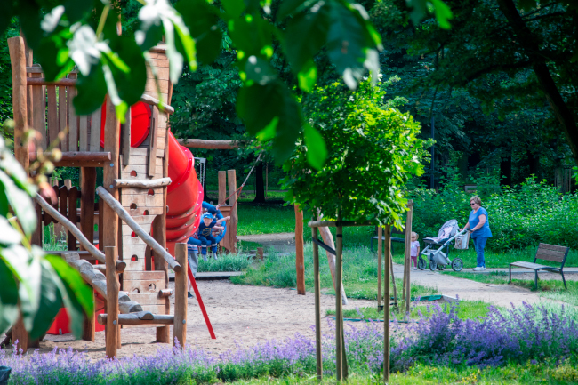 Soczysta zieleń i urządzenia zabawowe dla dzieci w Parku Tysiąclecia.