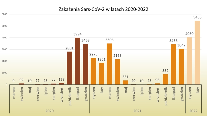 Wykresy - zakażenia koronawirusem miesięcznie 22/02/2022