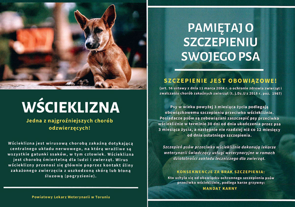 Rudy pies na ulotce na temat wścieklizny
