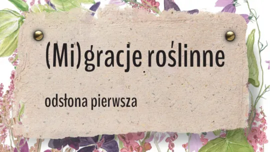Plakat wydarzenia