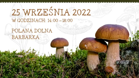 Plakat z borowikami wśród mchu