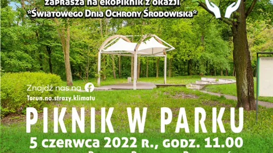 Piknik w parku -plakat z zielonym parkiem i amfiteatrem
