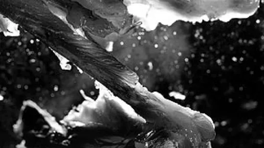 Zdjęcie do artykułu: Paweł Maciak - Fotografia materii