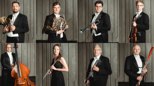 ośmioro muzyków z instrumentami