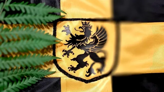 Flaga kaszubska