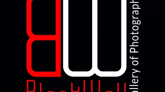 logo organizatora