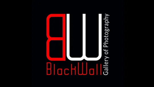 logo galerii