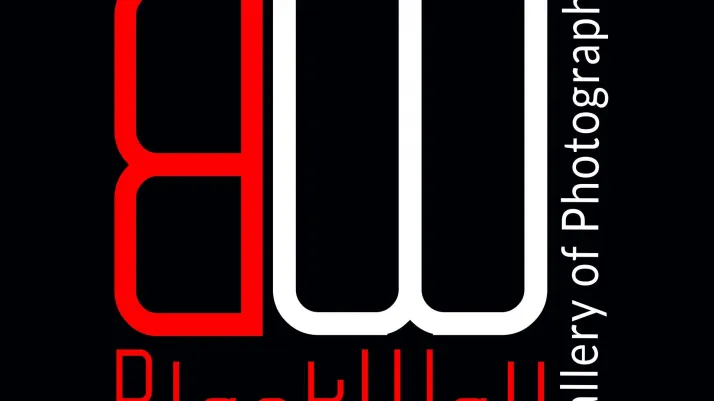 logo organizatora