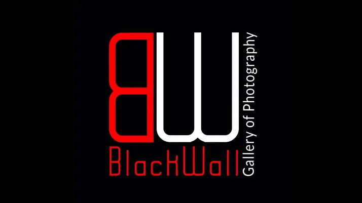 logo galerii