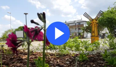 Parki kieszonkowe w Toruniu