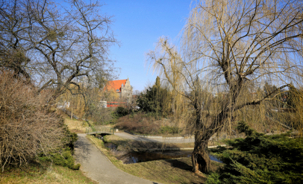 Na zdjęciu: dolina marzeń