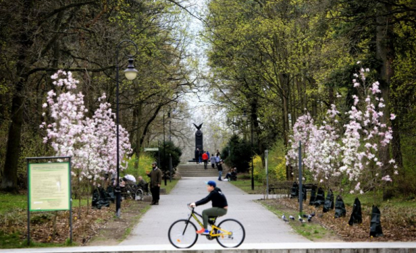 Chłopiec na rowerze jedzie przez Park Miejski.