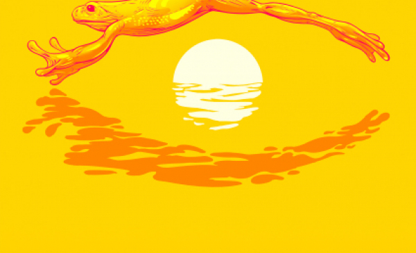 Żółty plakat ENNERGA Camerimage z wizerunkiem żaby i wschodzącym słońcem