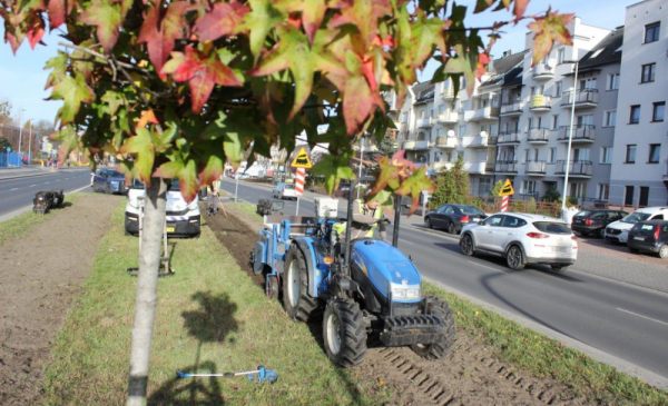 Na zdjęciu: niebieski traktor jedzie z maszyną sadzącą cebulki kwiatów po pasie zieleni między jezdniami Szosy Chełmińskiej
