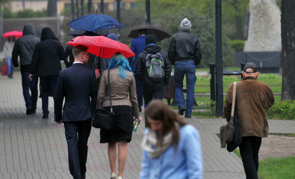Ludzie widziani od tyłu idący chodnikiem w deszczu pod parasolami