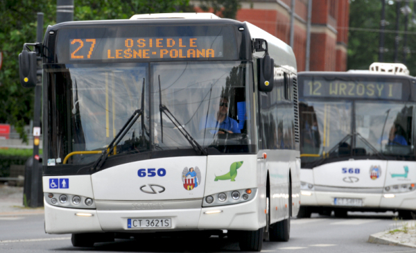 Na zdjęciu dwa białe autobusy toruńskiego taboru