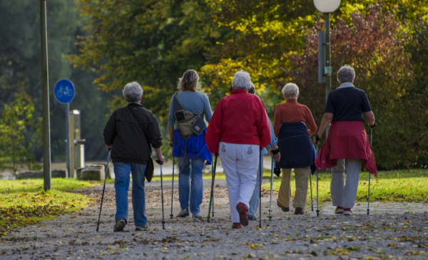 Na zdjęciu: grupa osób idzie ścieżką parkową z kijkami nordic walking