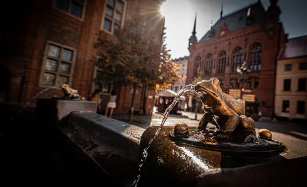 Rynek Staromiejski, na pierwszym planie figurka żaby z fintanny Flisaka