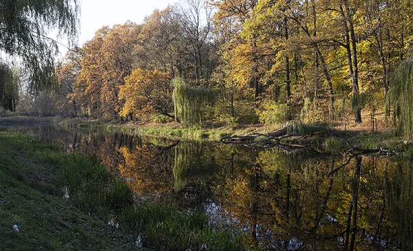Park na Bydgoskim Przedmieściu, fot. Wojtek Szabelski