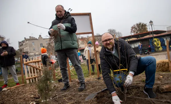 Sadzenie mikrolasu metodą Miyawaki
