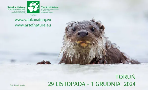 Plakat promujący festiwal