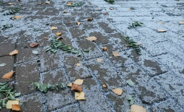Może być ślisko!