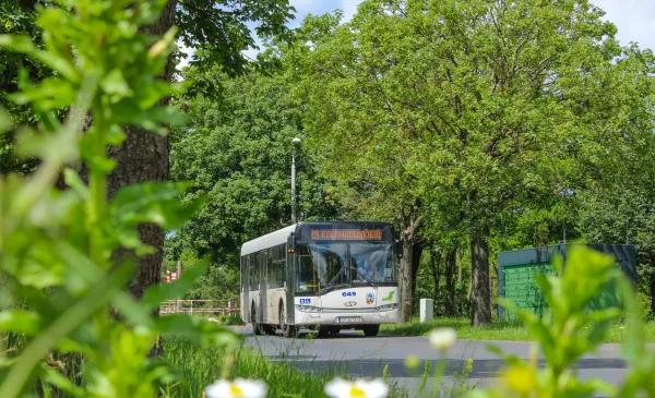 Zmiana trasy linii nr 29 i N93