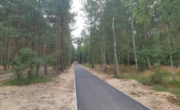 Co oznaczają numery na drzewach na Barbarce