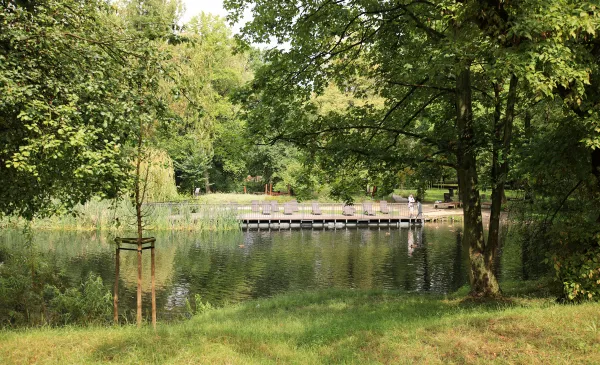 Park Tysiąclecia