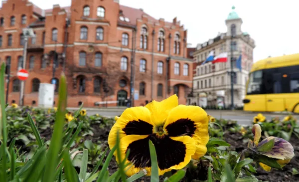 Pierwszy w Polsce wiosenno-letni tramwaj