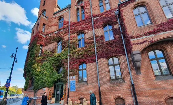 UMT w czasie majówki