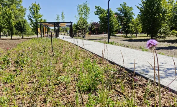 Nowa przestrzeń rekreacyjna w Toruniu powstała przy ulicy Polnej: park linearny