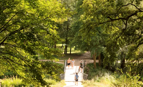 Park Miejski na Bydgoskim Przedmieściu