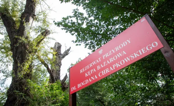 Odsłonięcie tablicy na Kępie Bazarowej
