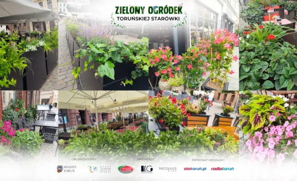 Głosowanie na najpiękniejszy ogródek
