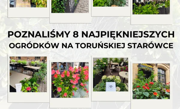 Najpiękniejszy ogródek starówki - grafika