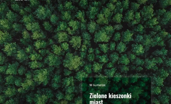 Hybryda dla młodzieży