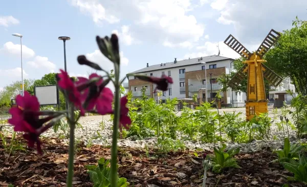 Parki kieszonkowe w Toruniu