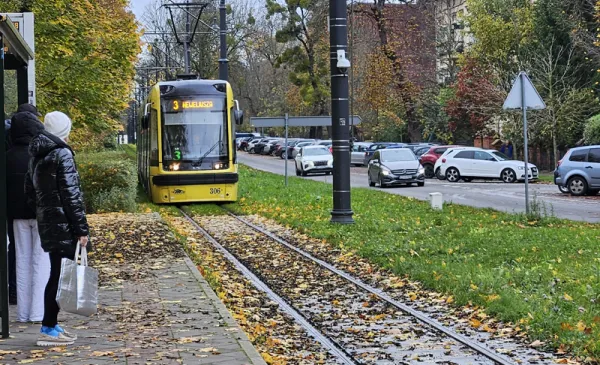 "Czarna szyna", zwana też madą, to śliska maź, która powstaje z połączenia wilgoci z kurzem, błotem, nasionami kwitnących roślin, skoszoną trawą czy innymi resztkami roślinnymi.