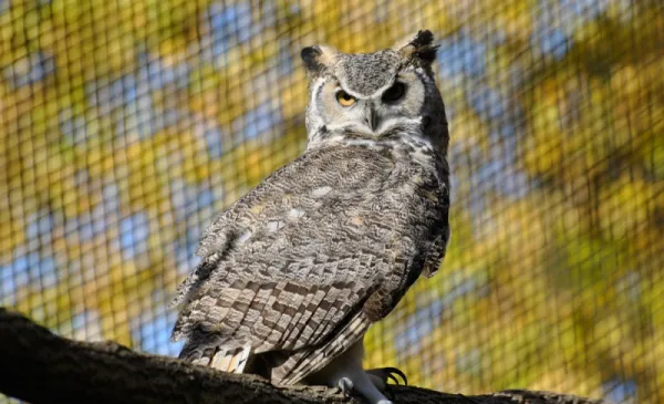 Feryjne warsztaty w Ogrodzie Zoobotanicznym