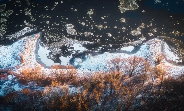 Inwentaryzacja przyrodnicza na zachodniej Winnicy