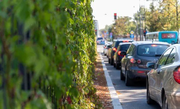 Będzie więcej zielonych przystanków