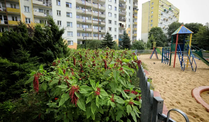BO 2026: złóż wniosek