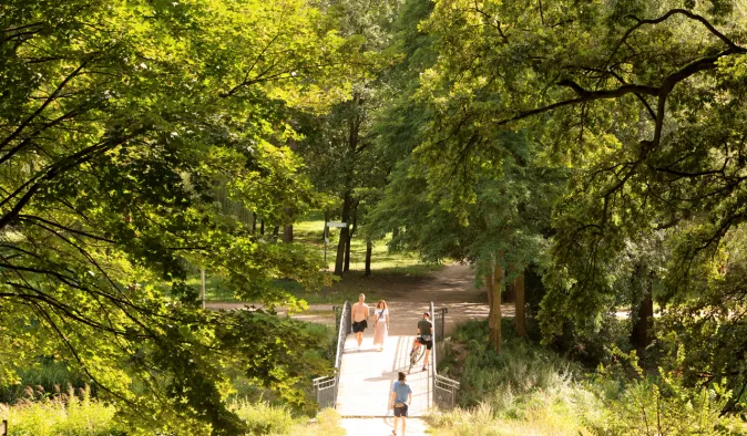Park Miejski na Bydgoskim Przedmieściu