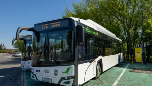 Ruszą autobusy do Kamionek