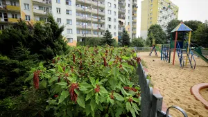 BO 2026: złóż wniosek