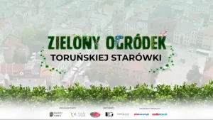 Wybieramy „Zielony Ogródek Toruńskiej Starówki”