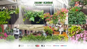 Głosowanie na najpiękniejszy ogródek