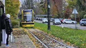 "Czarna szyna", zwana też madą, to śliska maź, która powstaje z połączenia wilgoci z kurzem, błotem, nasionami kwitnących roślin, skoszoną trawą czy innymi resztkami roślinnymi. 